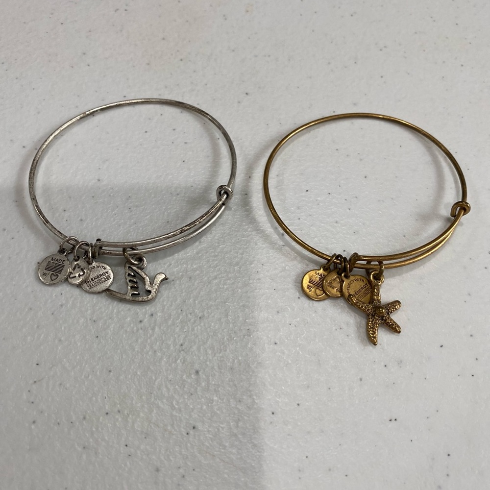 Alex and Ani bracelet duo